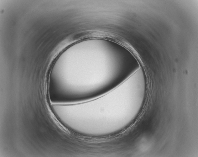X0000087420795200704201044