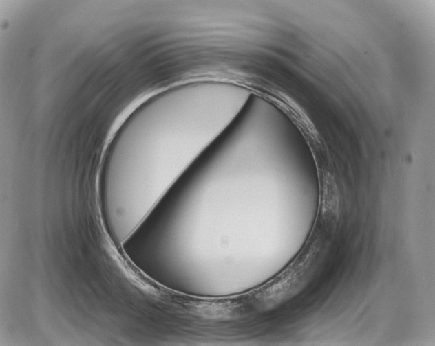 X0000087420796200704201044