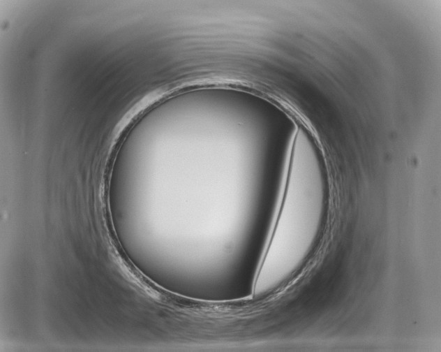 X0000087420797200704201044