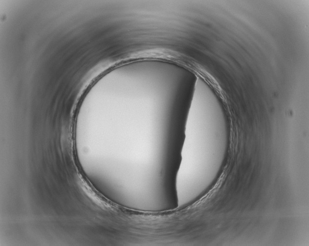 X0000087420800200704201044