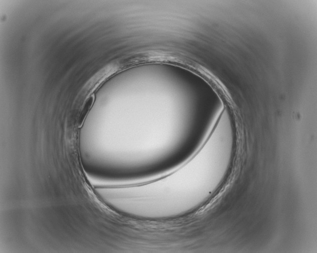 X0000087420801200704201044