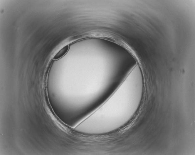 X0000087420803200704201044
