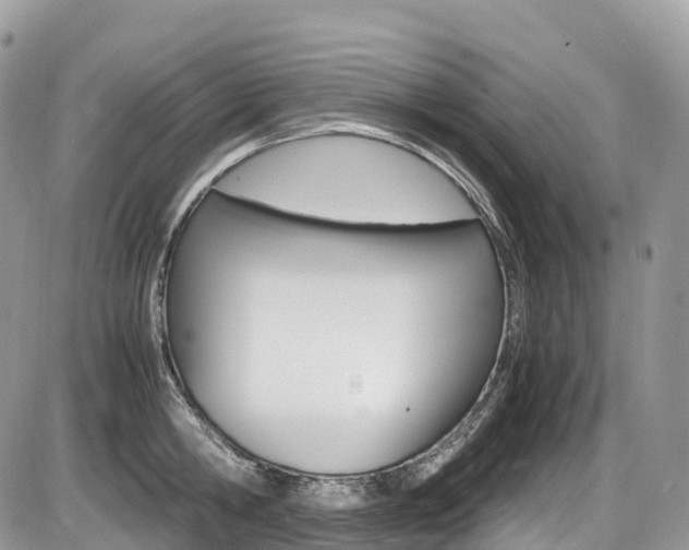 X0000087420806200704201044