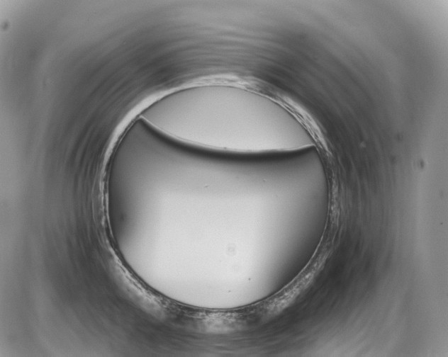 X0000087420808200704201044