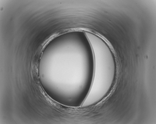 X0000087420809200704201044