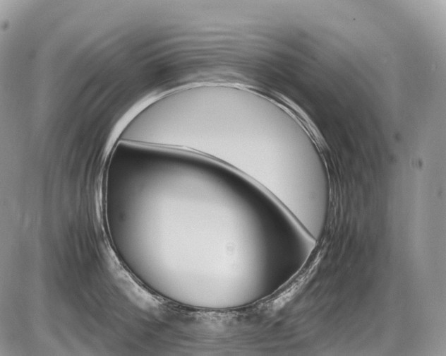 X0000087420812200704201044