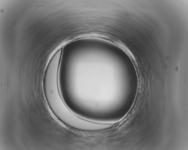 X0000087420813200704201044