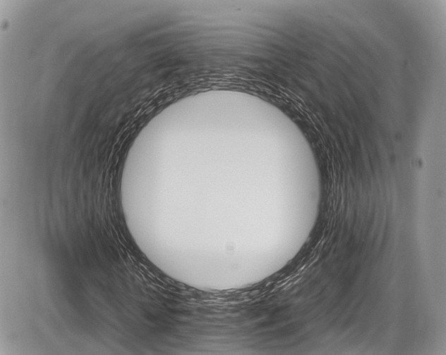 X0000087420818200704201043