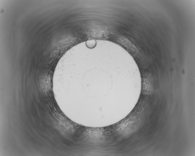 X0000087420820200704201043