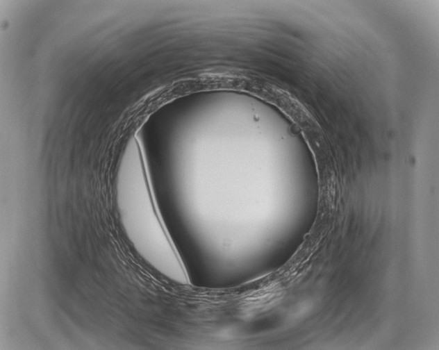 X0000087420821200704201043
