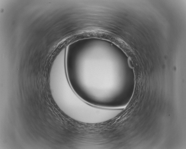 X0000087420822200704201043