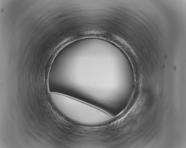 X0000087420825200704201043