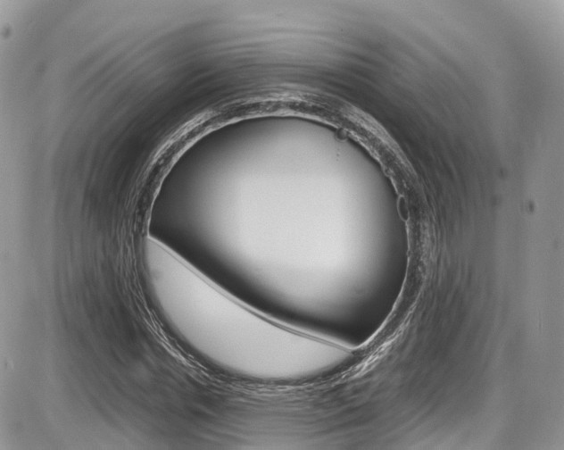 X0000087420826200704201043