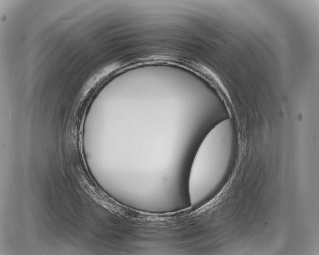 X0000087420827200704201043
