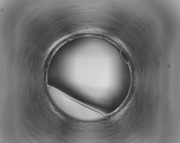 X0000087420830200704201043
