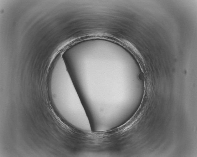 X0000087420831200704201043