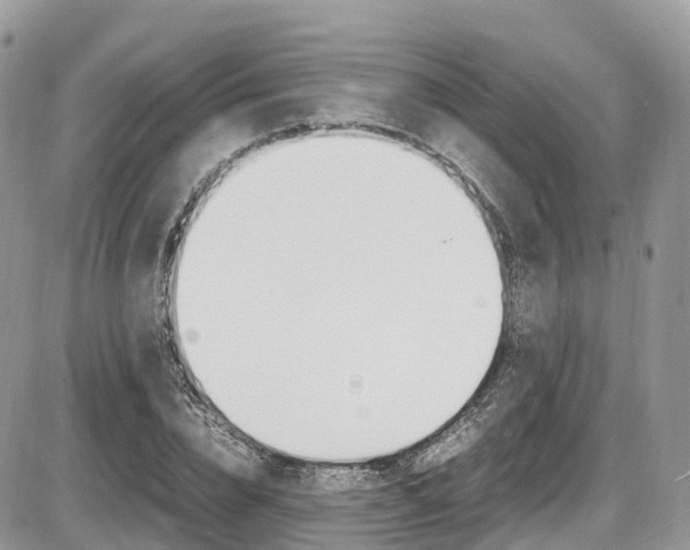 X0000087420832200704201043