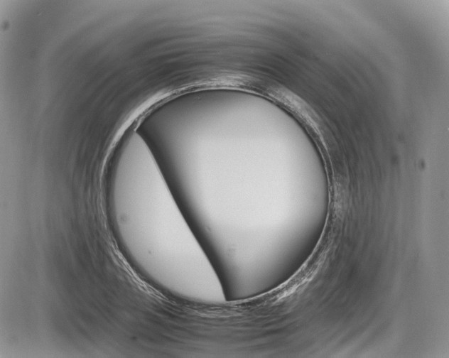 X0000087420835200704201043