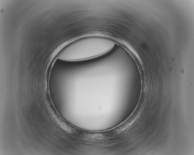X0000087420837200704201043