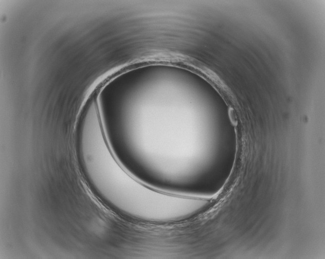 X0000087420838200704201043