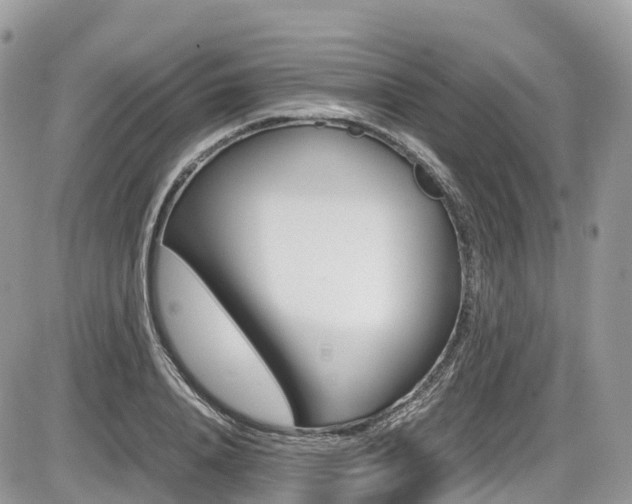 X0000087420840200704201043