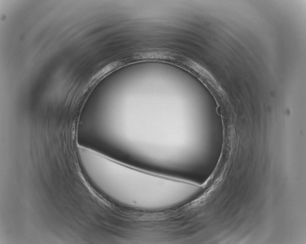 X0000087420841200704201043