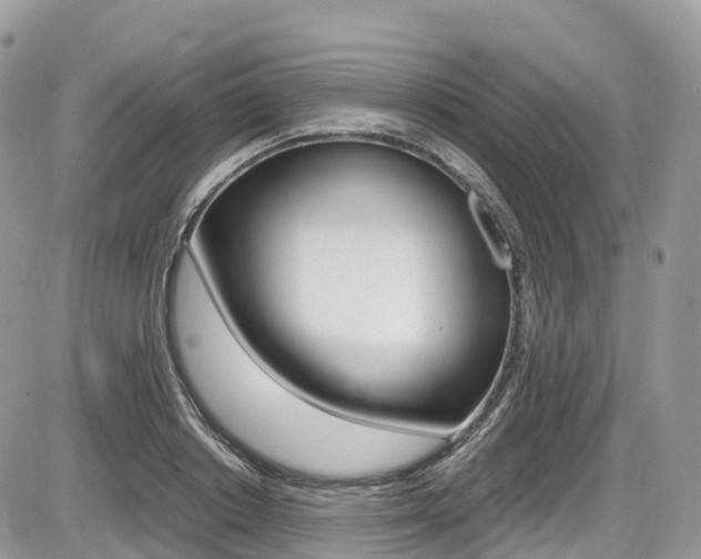 X0000087420842200704201043