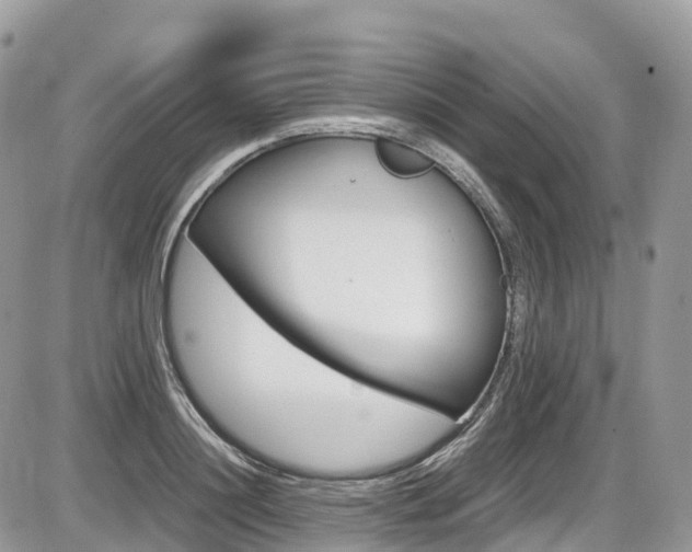 X0000087420844200704201043