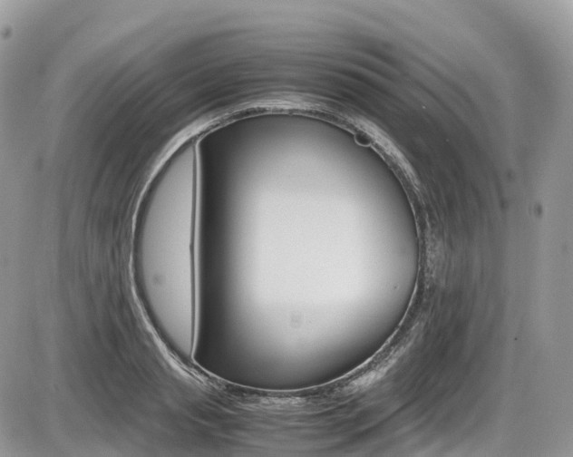 X0000087420845200704201043