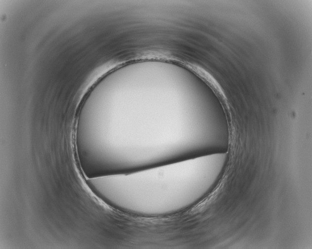 X0000087420847200704201043