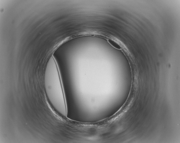 X0000087420849200704201044
