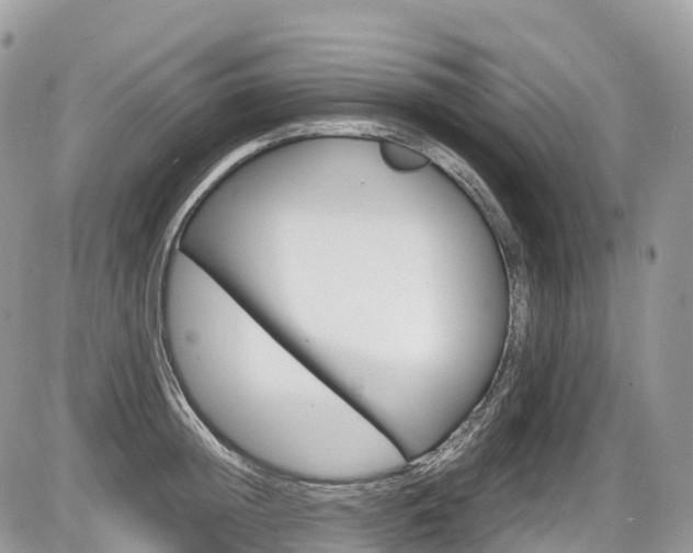 X0000087420852200704201044