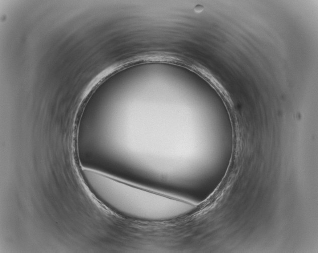 X0000087420853200704201044