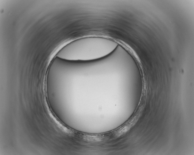 X0000087420855200704201044