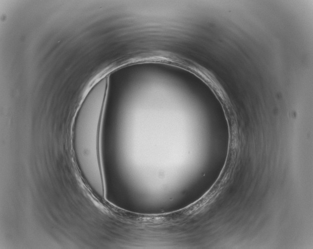 X0000087420858200704201044