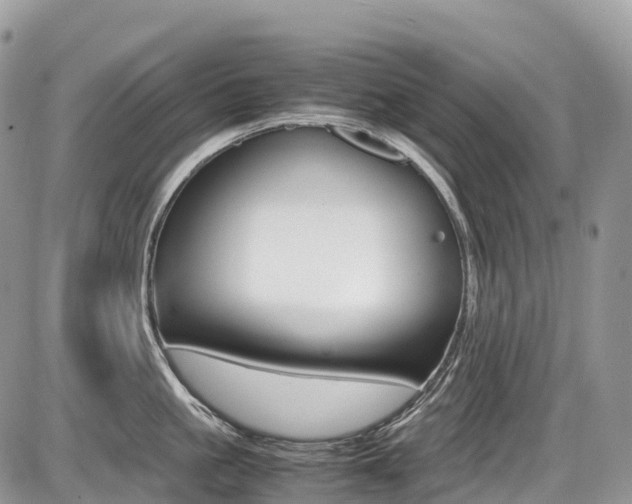X0000087420861200704201044
