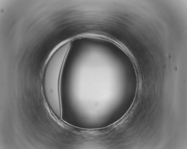 X0000087420862200704201044