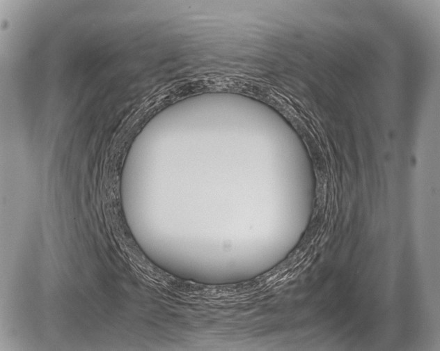 X0000087420865200704201043