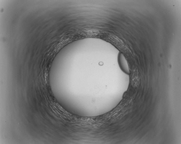 X0000087420866200704201043