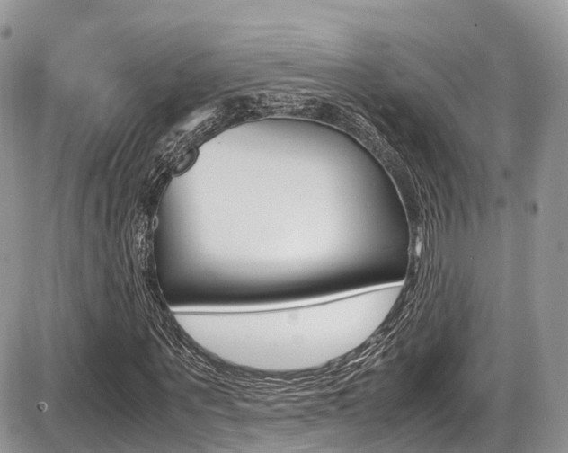 X0000087420867200704201043