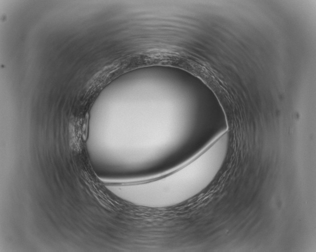 X0000087420868200704201043