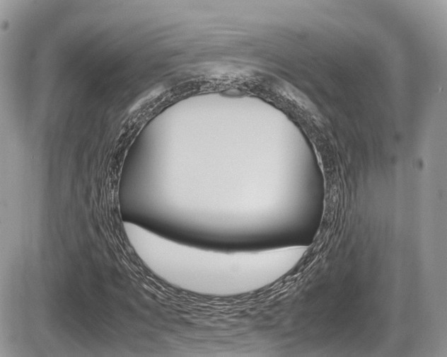 X0000087420869200704201043