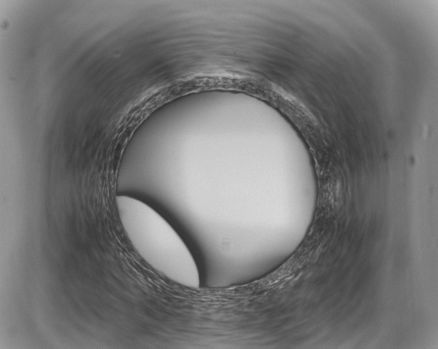 X0000087420870200704201043
