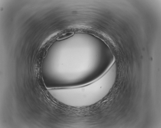 X0000087420872200704201043