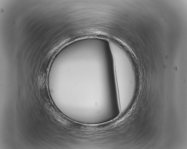 X0000087420873200704201043