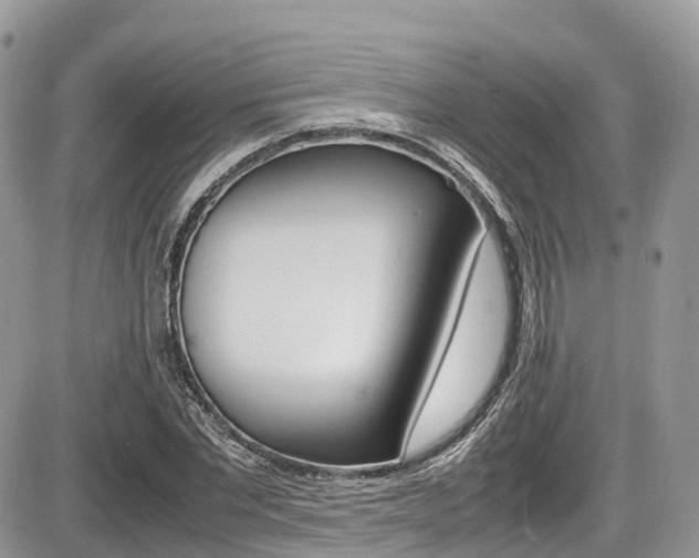 X0000087420877200704201043