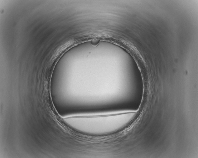 X0000087420881200704201043
