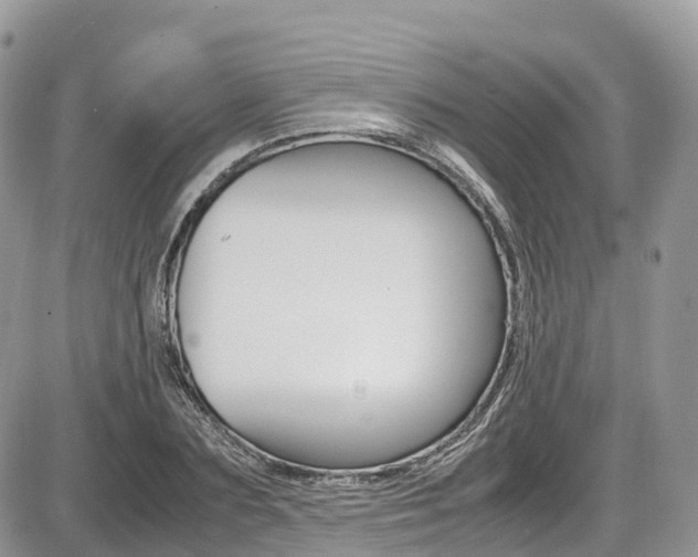 X0000087420883200704201043