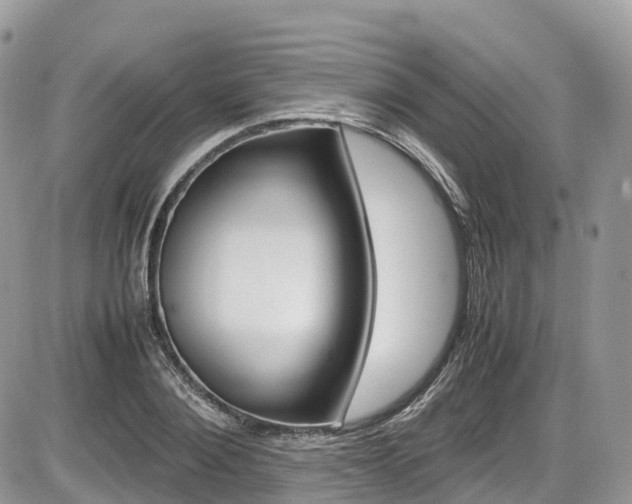 X0000087420884200704201043