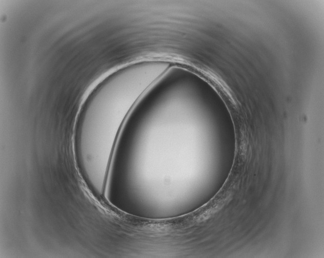 X0000087420888200704201043
